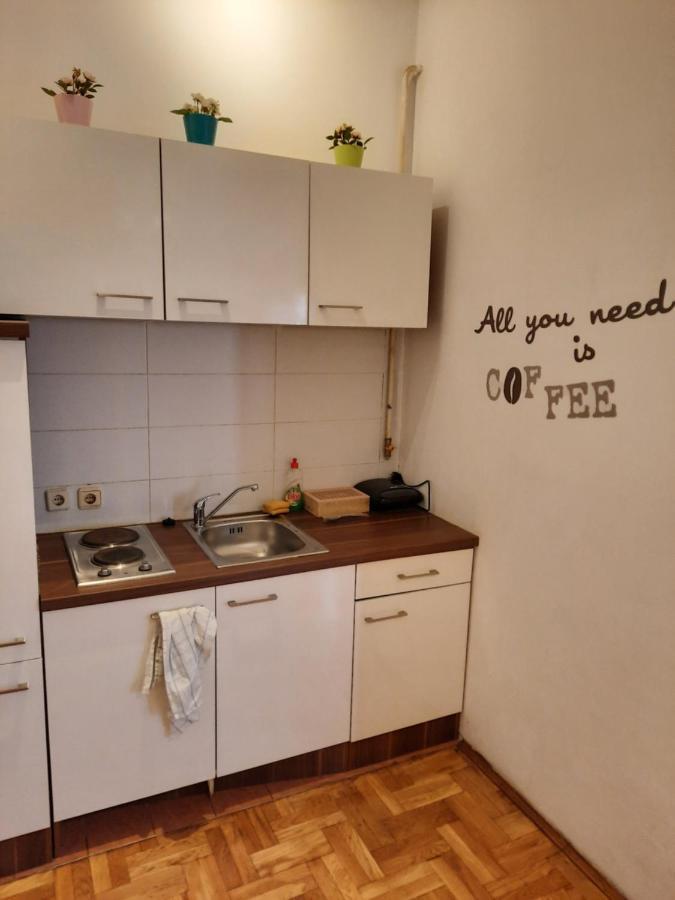 Studio Apartment Загреб Екстер'єр фото